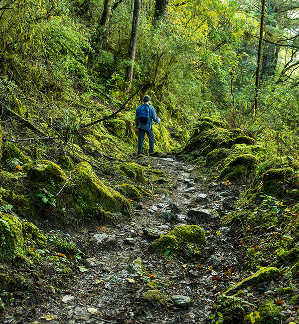 Trekking Tour