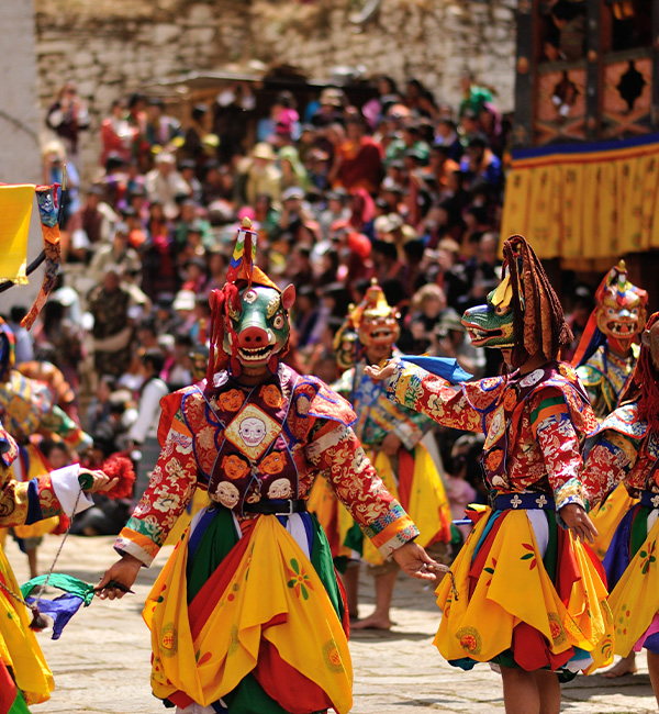 Festival Tours